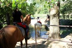 passeggiata a cavallo