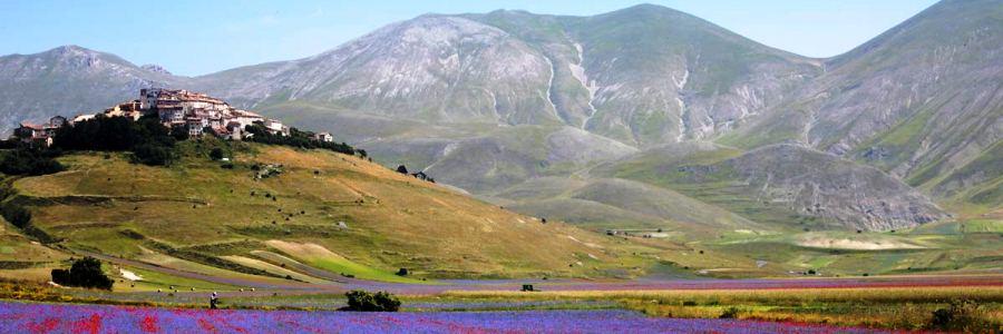 fioritura-castelluccio-02